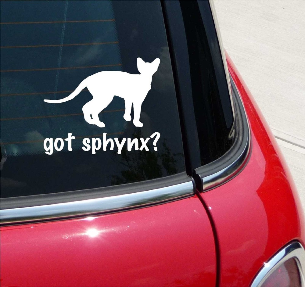 GOT SPHYNX? CAT GRAPHIC DECAL STICKER ART CAR WALL DECOR