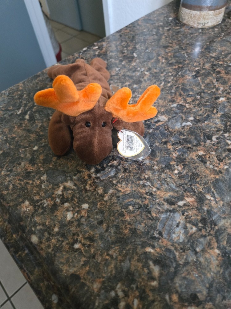 beanie babies rare chocolate the moose