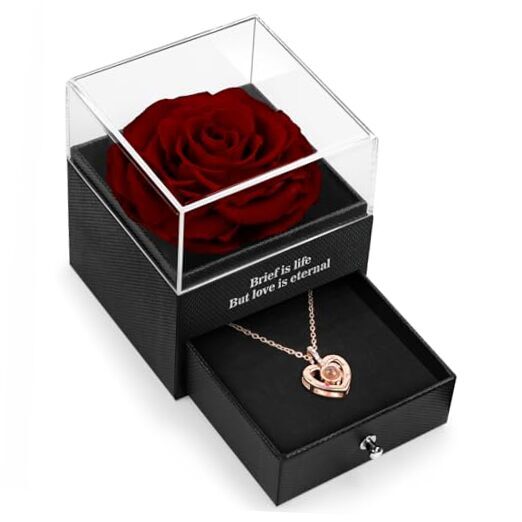 Preserved Real Rose with I Love You Necklace in 100 Language, Valentine's Day