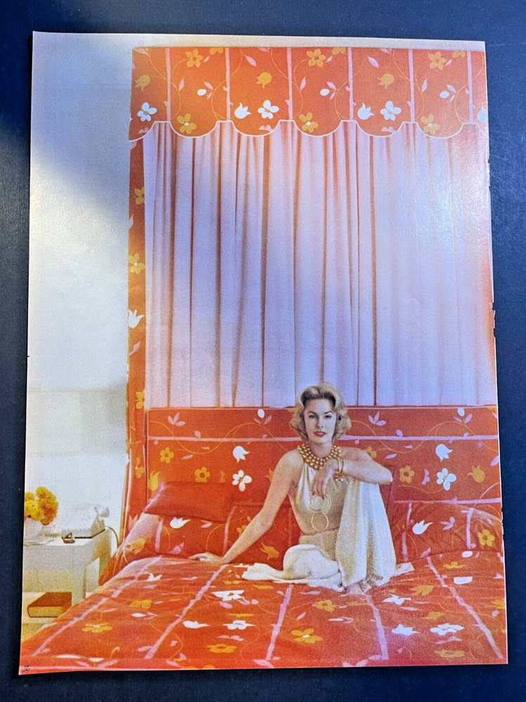 1960s Diana Merrill Fashion Model Vintage Illustration