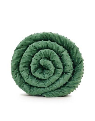 40x60 Minky Weighted Blanket 10lbs Ultra Soft Cozy Throw