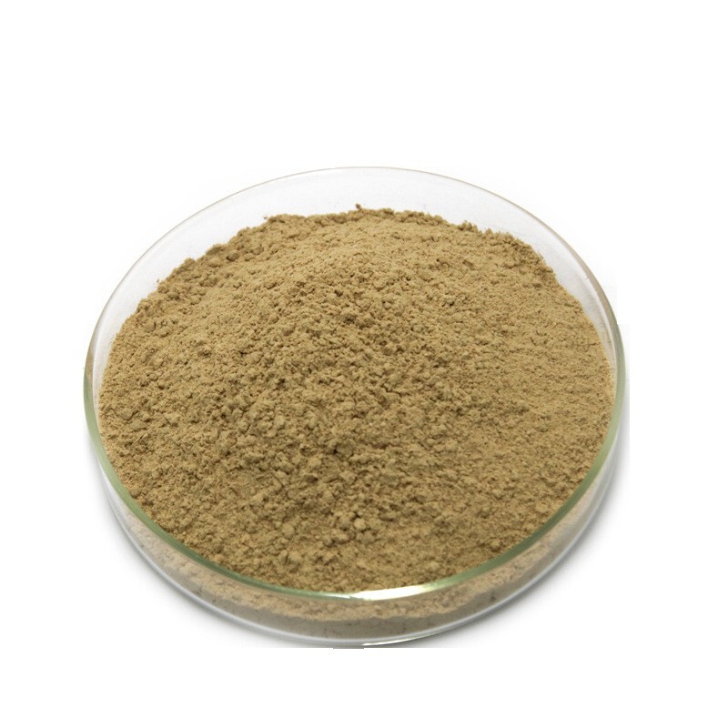 Cordyceps Sinensis ORGANIC 10:1 Extract Powder-250gms