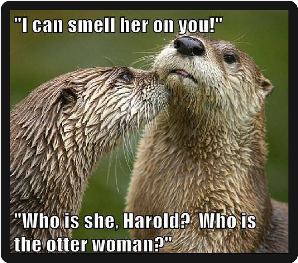 Funny Humor Who Is The Otter Woman Refrigerator Magnet