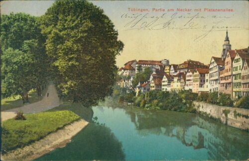 Ansichtskarte Tübingen Partie am Neckar mit Platanenallee 1911 (9844)