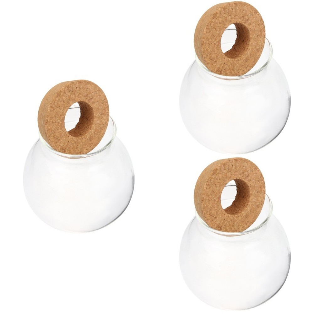 Set of 3 Hydroponic Vase Planter Propagation Stations Containers