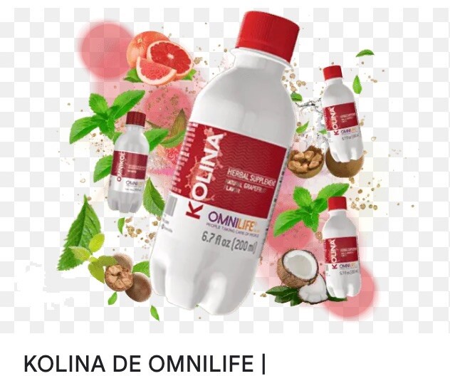 Kolina Omnilife, Functioning Of The Digestive System, 12 Bottles