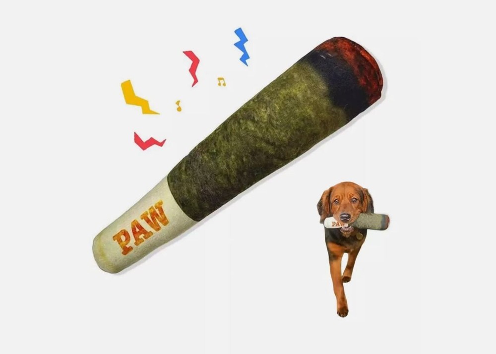 1Pc Large PAW Joint Design Pet Teeth Squeaky Plush Toy Chew Toys For Dog - USA