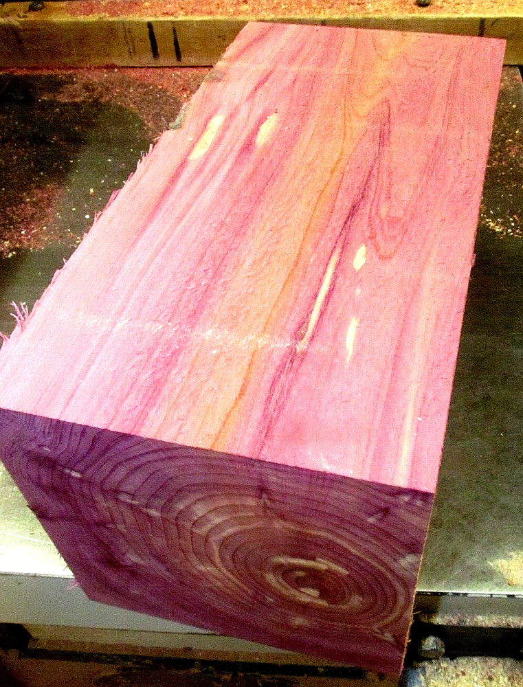LARGE EASTERN RED CEDAR WOOD BLANKS CARVING BLOCKS 6