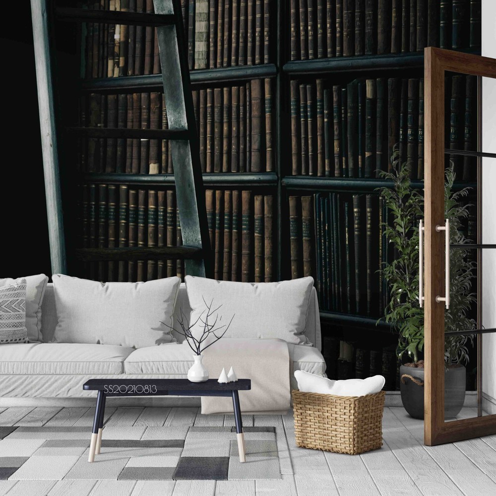 3D Vintage Bookshelf Pattern Wall Murals Wallpaper Murals Wall Sticker