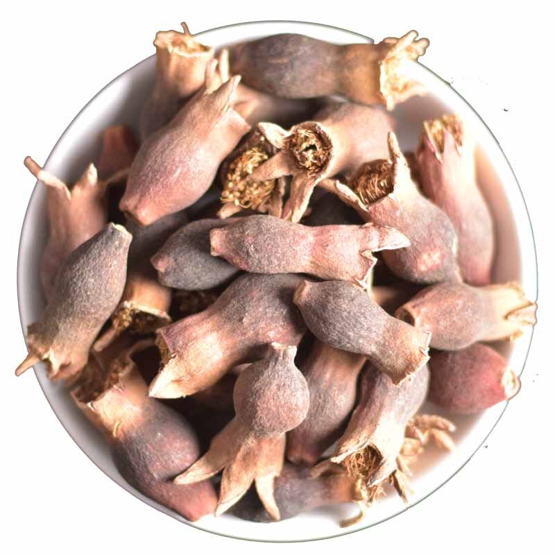 Pomegranate flower acid pomegranate flower