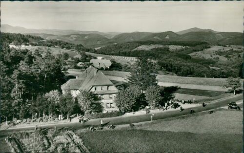 Ansichtskarte Elzach Schwarzwald Gasthaus Heidburg   (Nr.980)