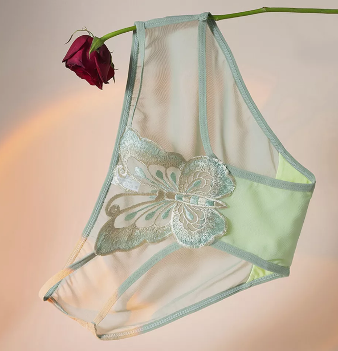 Women's Knickers Thongs G-string Panties Briefs Mesh Sheer Underwear Lingerie P