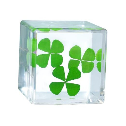 Good Luck Charms Real 4 Leaf Clover 4cm Cube Paperweight, St. Saint Patric's