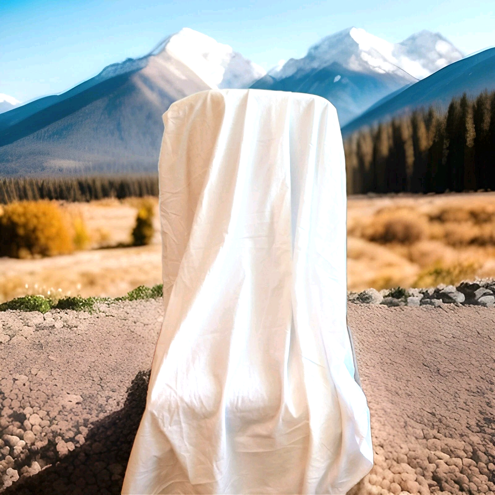 Vintage Cannon White Cotton Muslin Flat Sheet Set with Floral Pillowcase  