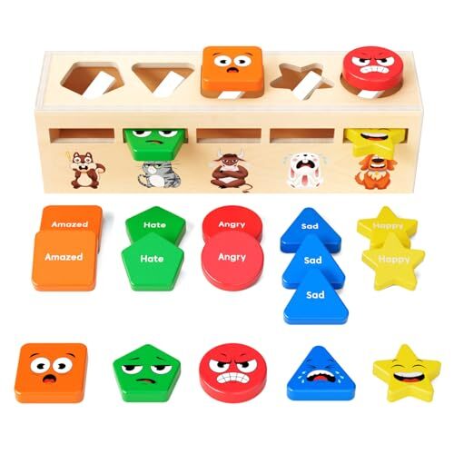 JoyCat Montessori Wooden Sorting Toysfor 2 3 4Year Old Boy GirlShape Color So...