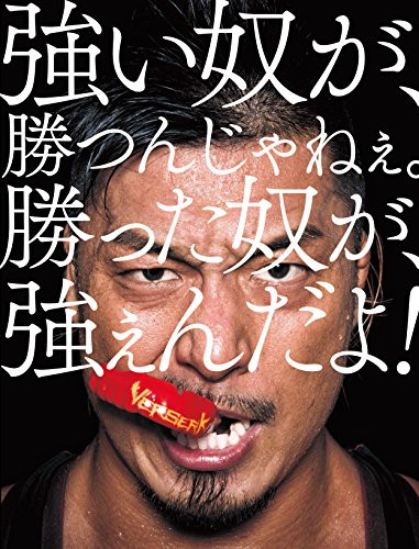 Dragon Gate Japanese Wrestling Photo Collection Book Japan book form JP