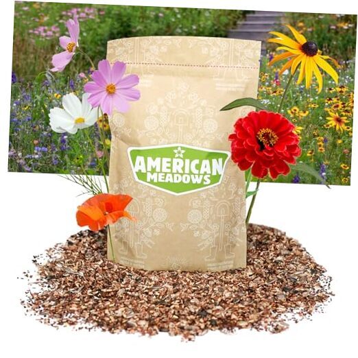 Summer Splash Wildflower Seed Mix (1/2 lb) — Exclusive & Colorful Mix 1/2 LB