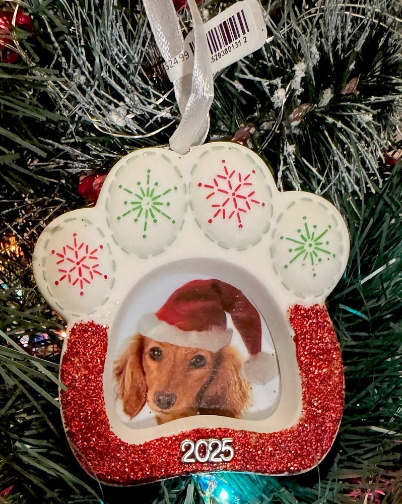 2025 Hallmark Dog Pet Paw Picture Photo Frame 🐕 Christmas Tree Ornament w Tag