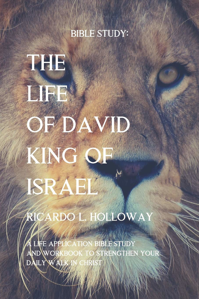 Life of David: Bible Study and Commentary on King of Israel Stories