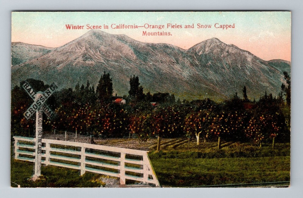 CA-California, Winter Scene In California, Scenic View, Vintage Postcard