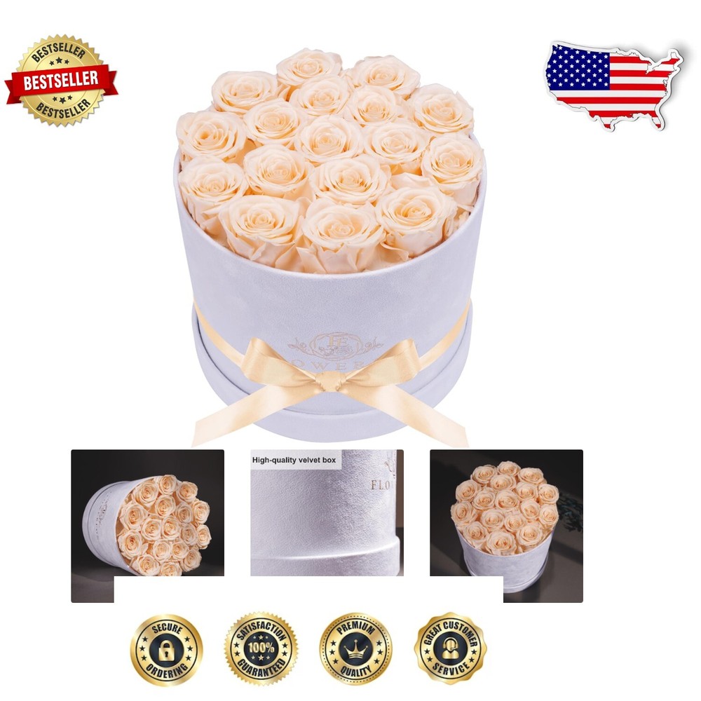 Luxury Handcrafted White Suede Box with 17 Preserved Roses - Perfect gift