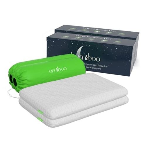 Focus Thin 2.5-Inch Memory Foam Pillow for Stomach Sleepers - Frosty White 2-Pack  