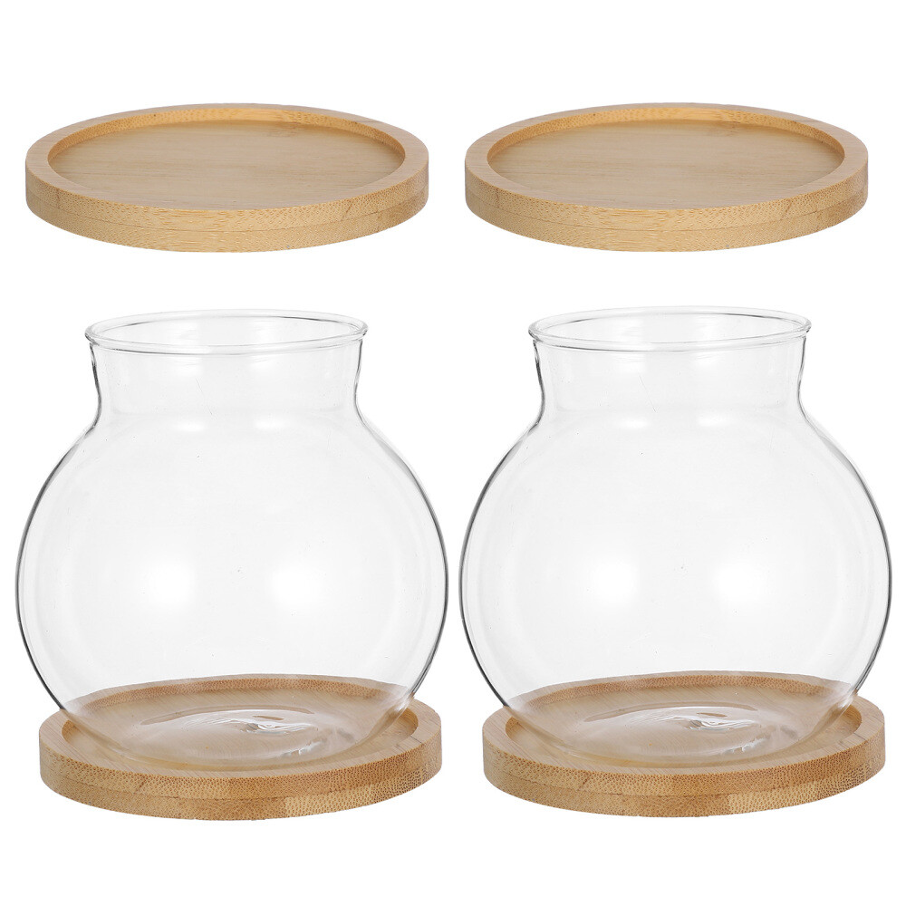 Hydroponic Fish Bowl Tank with Lid for Office Plants Flowers 2-Pack