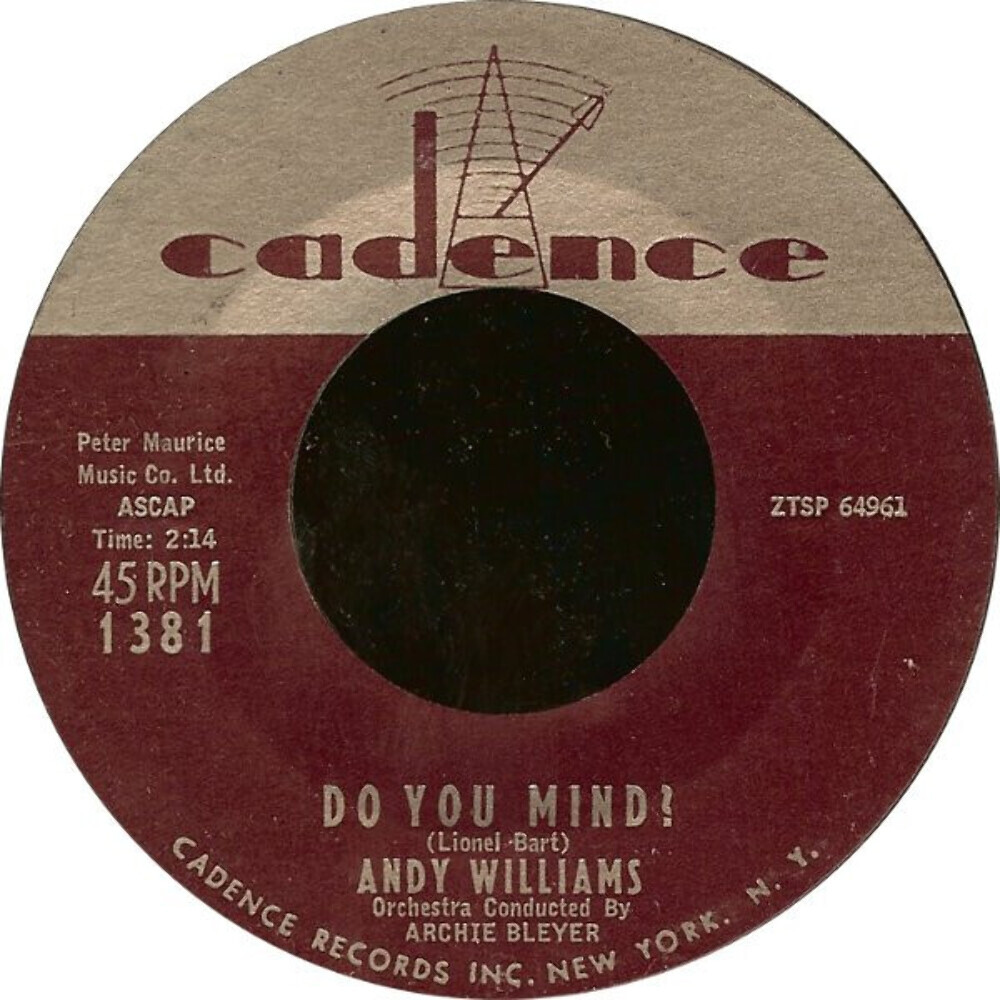 Andy Williams - Do You Mind? (7