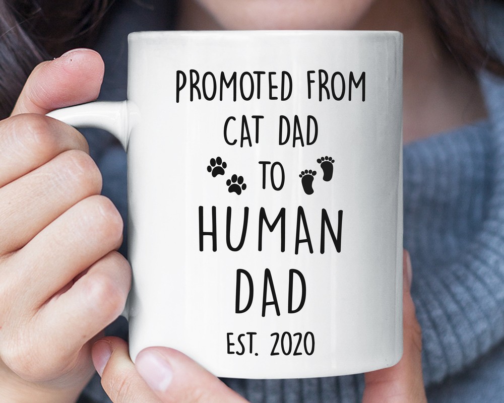 Promoted From Cat Dad To Human Dad Funny Mug Pregnancy Announcement To Husband