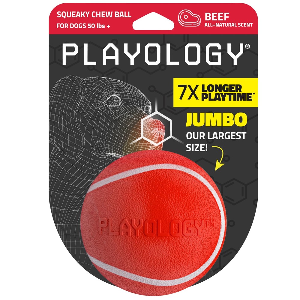 Durable Beef-Scented Squeaky Rubber Dog Toy Ball for Fetch Play