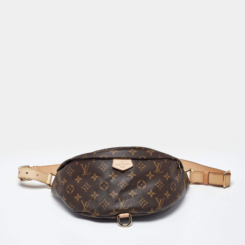 Louis Vuitton Monogram Canvas Bumbag
