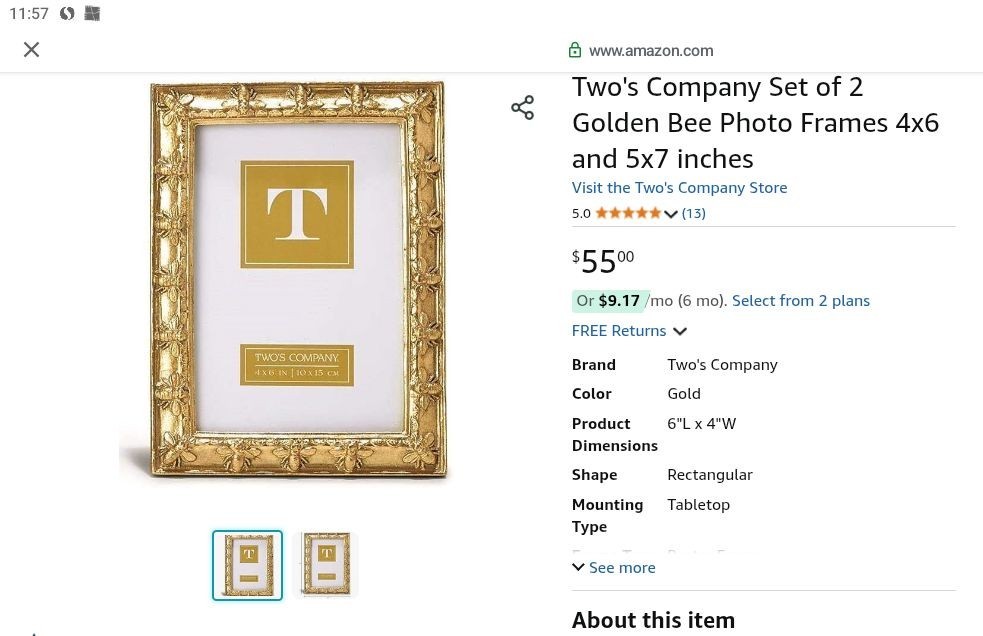 Bumblebee Frames Set Of 2