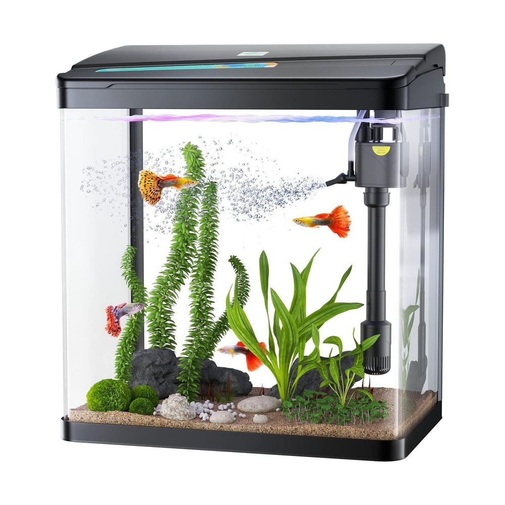 3 Gallon Glass Fish Tank with Filter and LED Lights for Home Decor