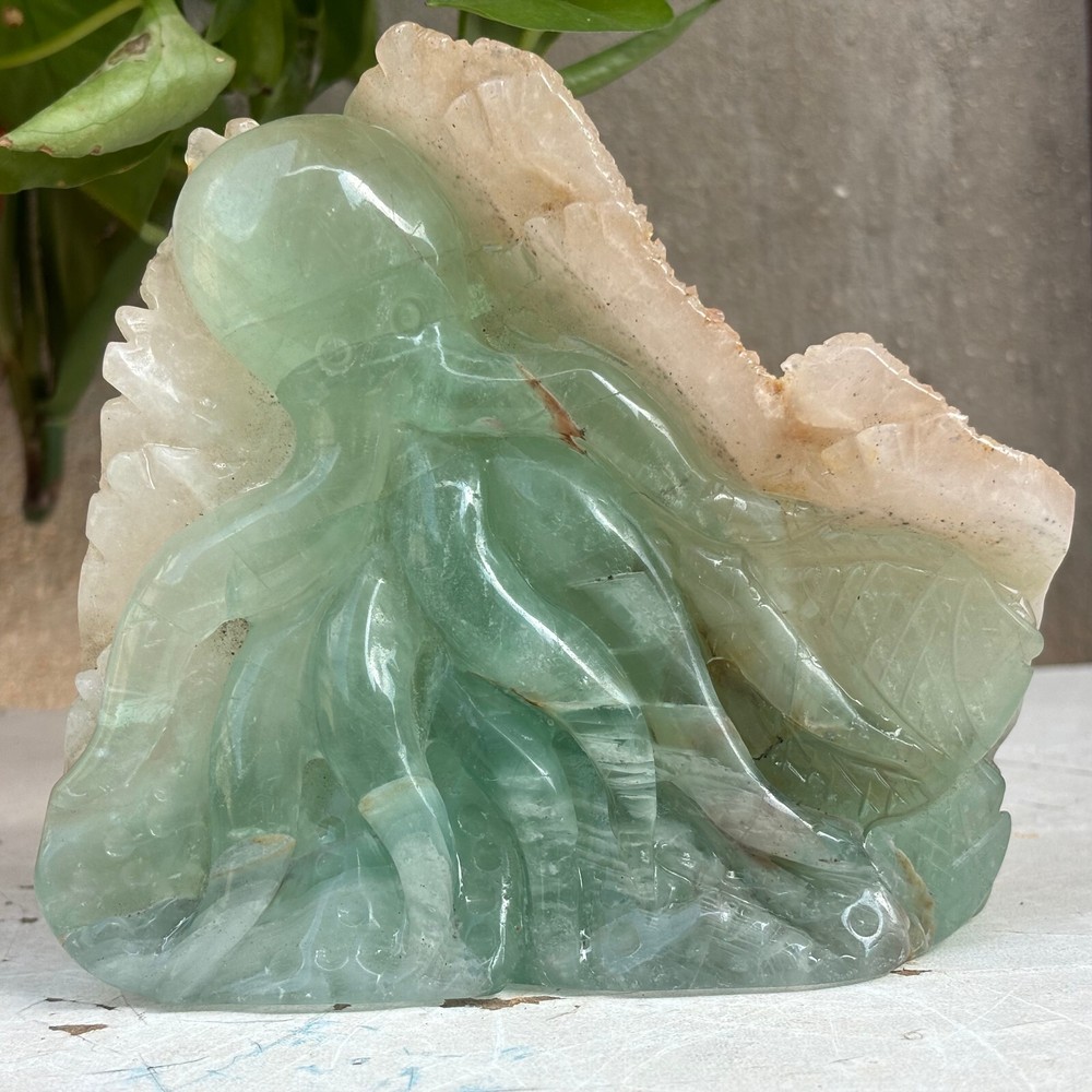 1010g Natural Fluorite Crystal original stone hand carved Octopus
