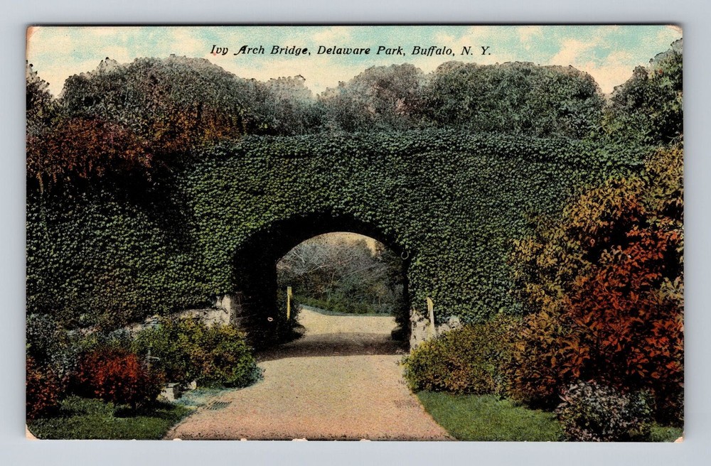 Buffalo NY-New York, Ivy Arch Bridge, Delaware Park, Souvenir Vintage Postcard