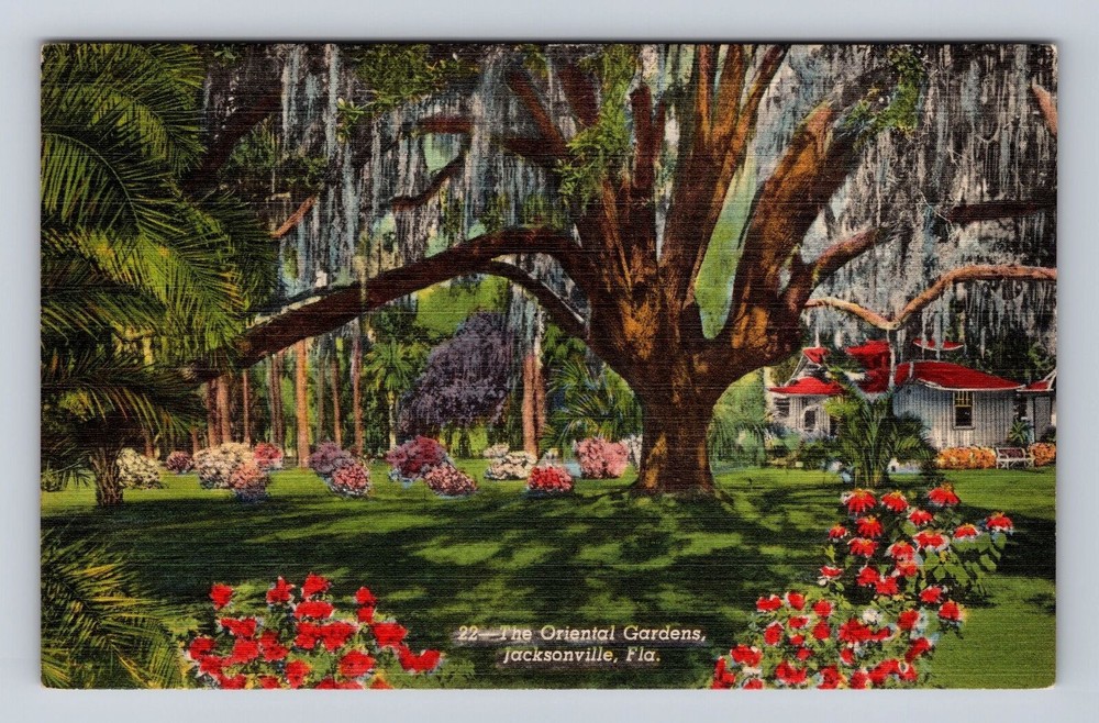 Vintage Jacksonville FL Oriental Gardens Spanish Moss Oak Tree Postcard