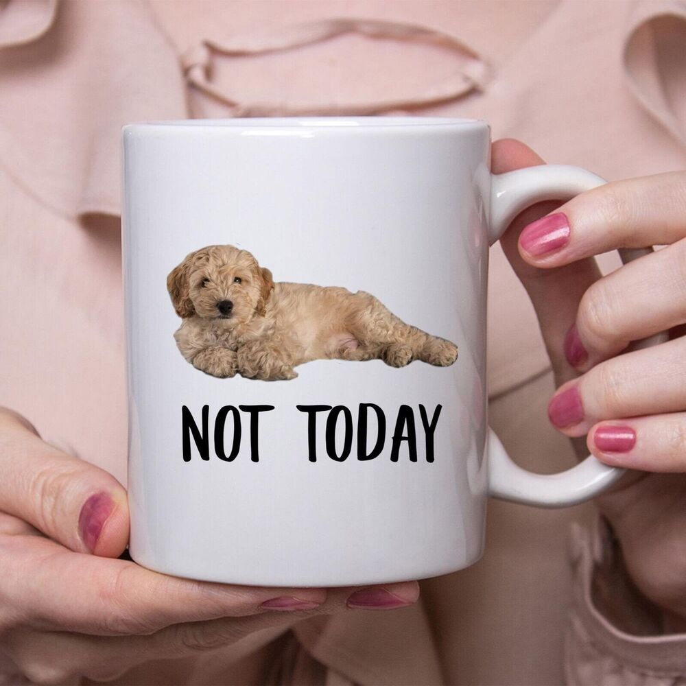Funny Cockapoo Gold Not Today Dog Mug Lazy Coffee Mug 11OZ