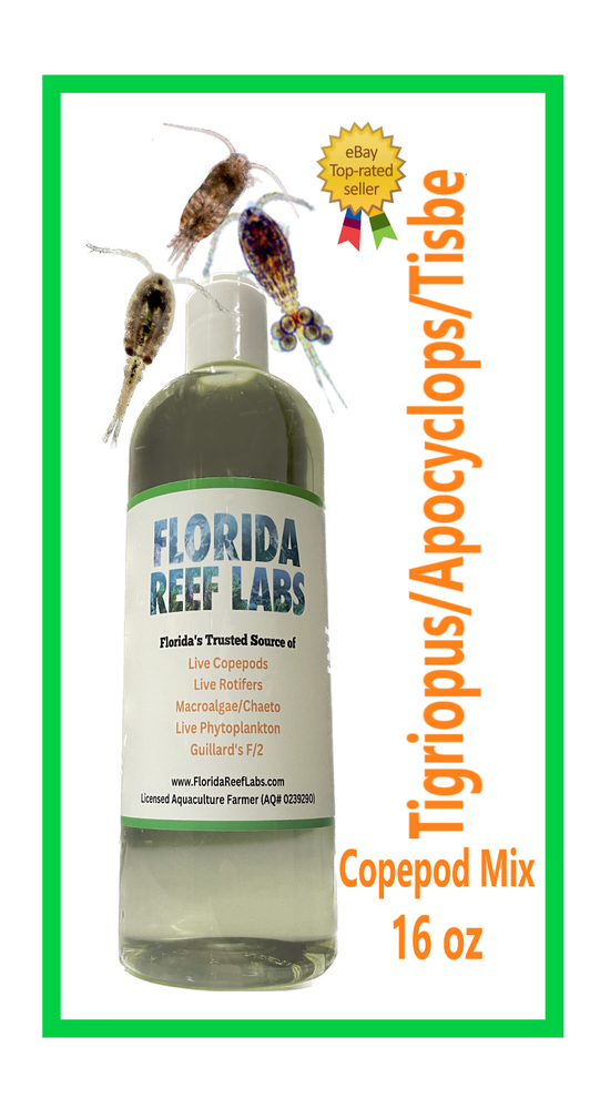 Live Copepods (TISBE / TIGRIOPUS / APOCYCLOPS) 16oz Florida Reef Labs® FAST SHIP
