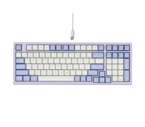 Hexgears Purple Rain M4 99-Key Hot Swappable Wired Gaming Mechanical Keyboard