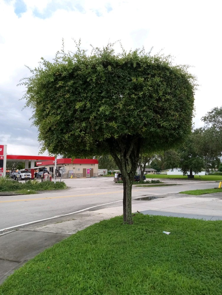 Stunning Landscape Photography Tips and Inspiration