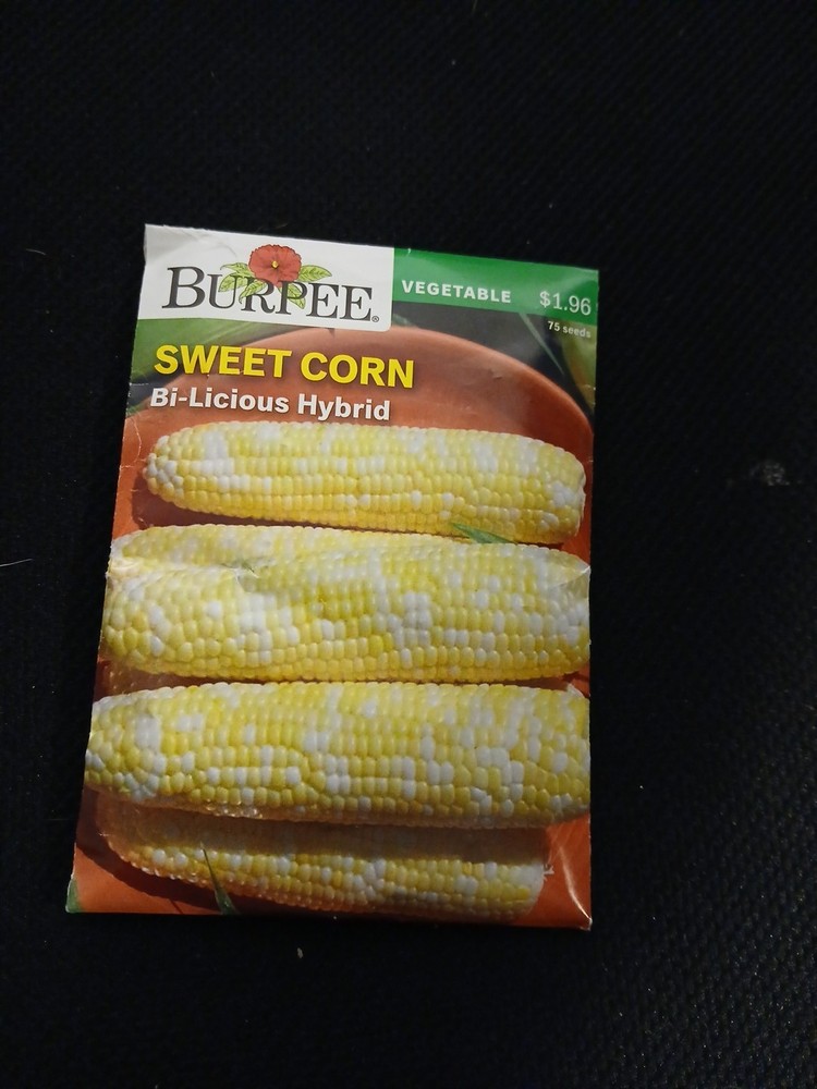 Bi-licious Sweet Corn Seeds - Non-treated Seed  Comb. S/H