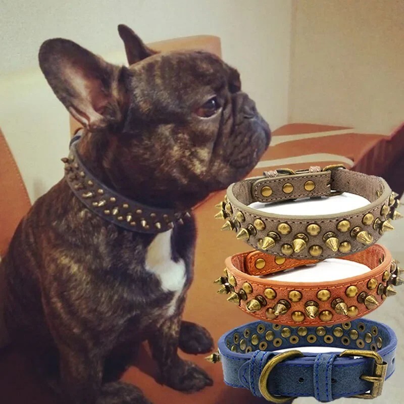 Bulldog Francés Pitbull Perros Collar Retro Cuero Tachonado Correa Cuello Perro