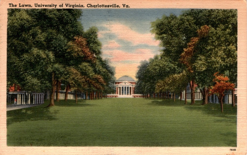 The Lawn, University of Virginia, Charlottesville, Va, City News Postcard