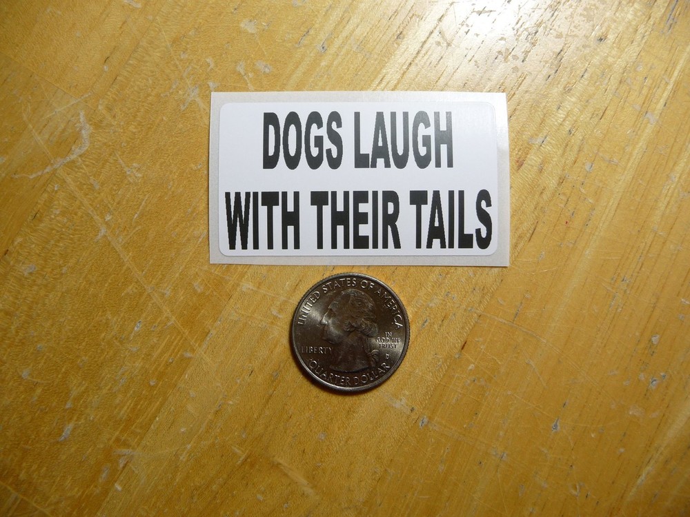 Bulk Pack of 50 Dogs Laugh With Their Tails Vinyl Sticker Decals