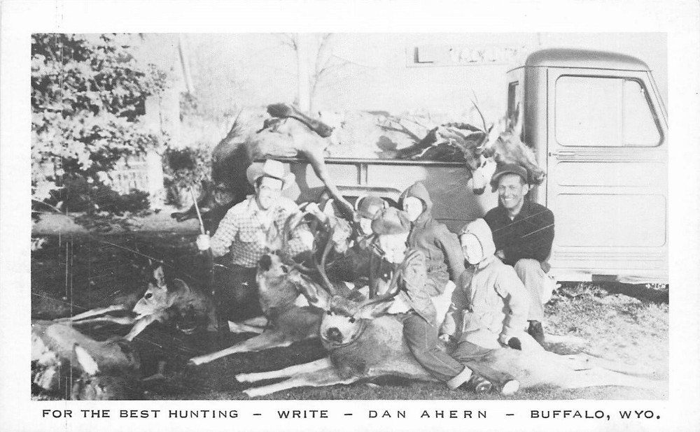 1950s Buffalo Wyoming Best Hunting scene National Press Postcard 25-6683