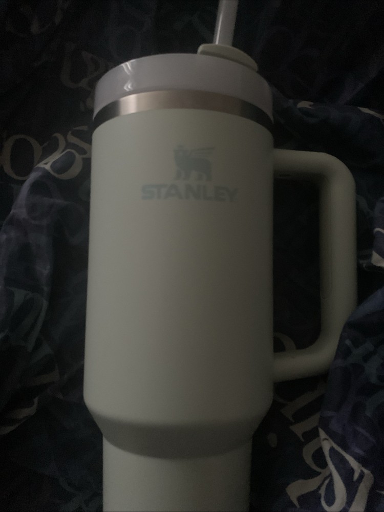 Stanley 40oz Tumbler with Handle for Hot & Cold Drinks