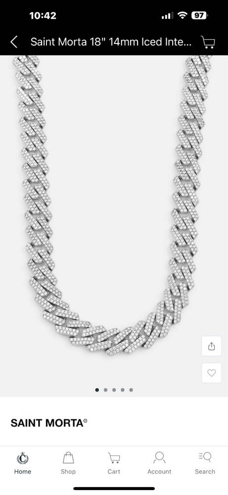 saint morta chain 18