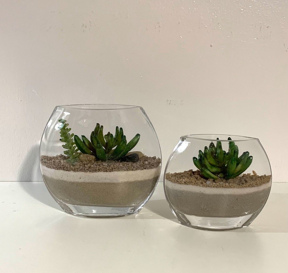 Glass Terrarium Set with Succulents