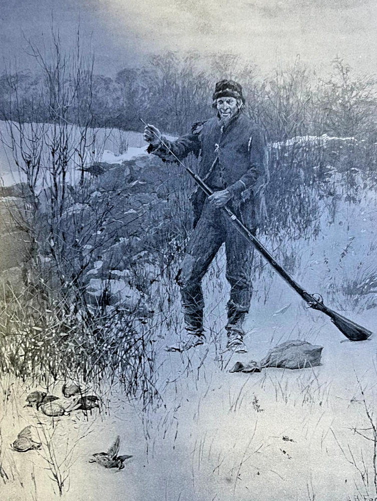 1893 Partridge Bob White Hunting A. B. Frost Illustrations