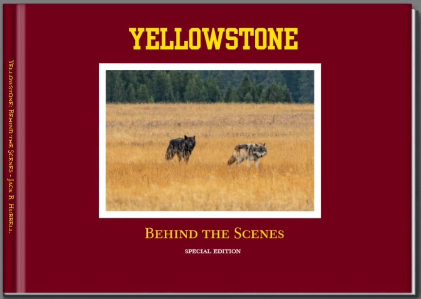 Yellowstone park Behind the scenes*Christmas SALE-image